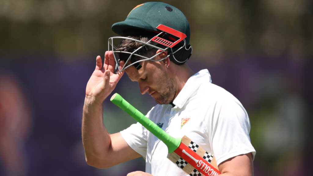 Webster out cheaply in Shield return as Vics take lead